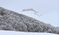 خودنمایی کُرک سفید زمستان بر قامت قره داغ