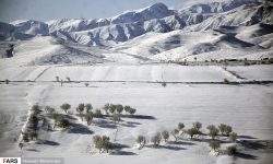 کاهش احتمال طغیان آفات با افزایش نزولات جوی